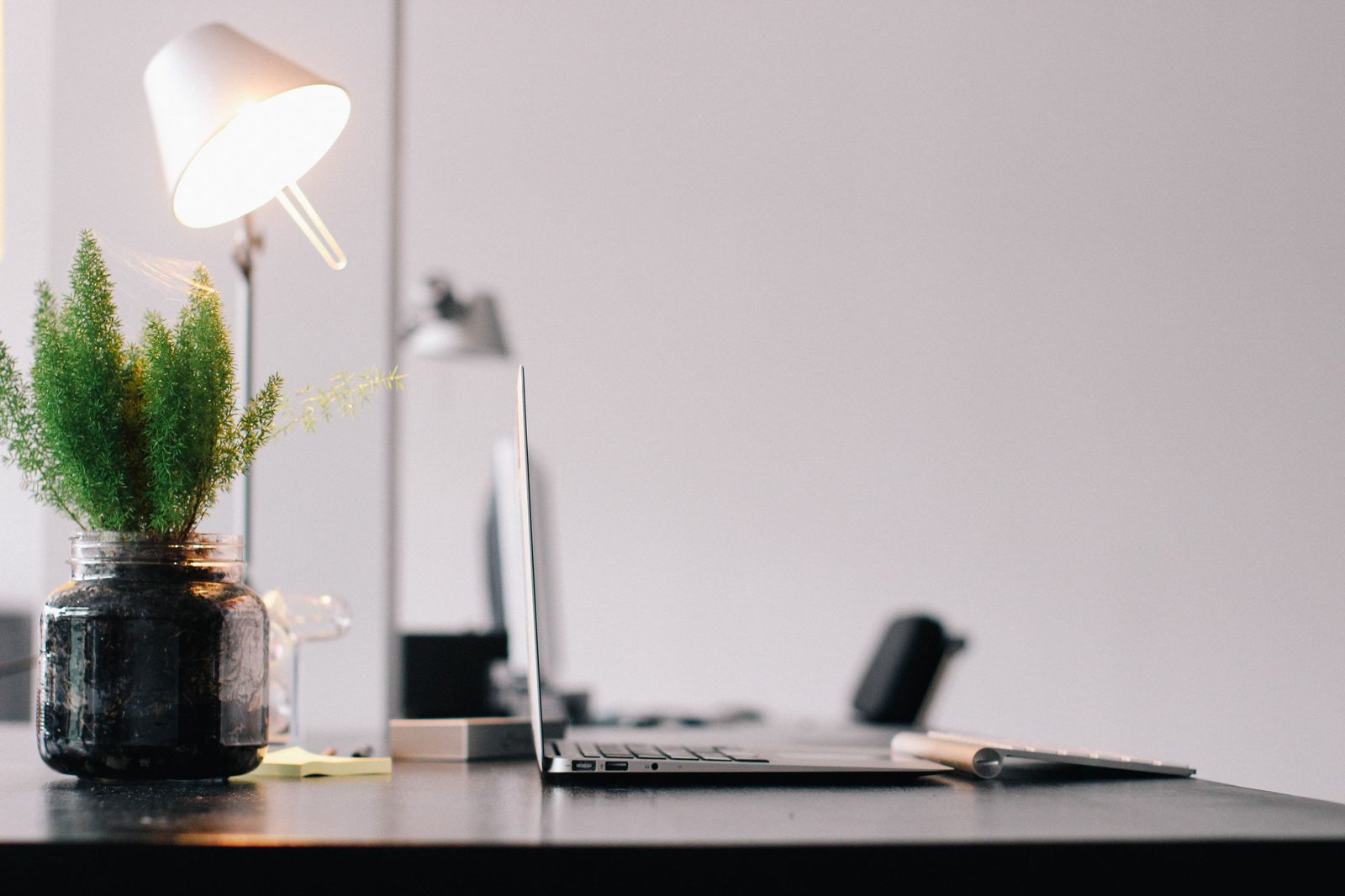 A minimalist home workspace with a laptop and a small potted plant